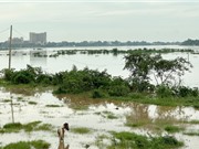 Ủy hội sông Mekong: Mực nước sông Mê Kông dâng nhanh do mưa và thủy điện xả nước
